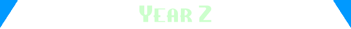 Year 2